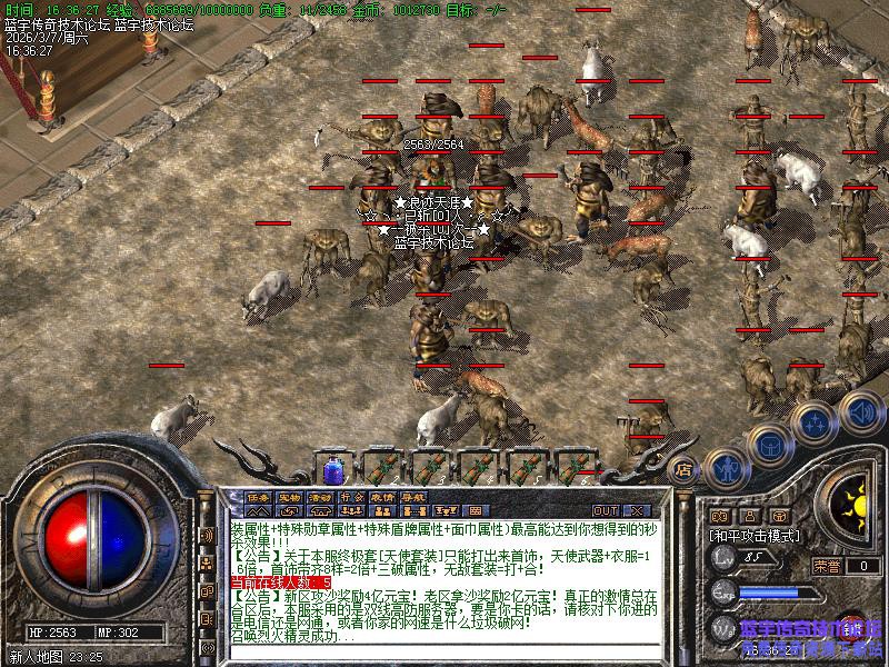 新手练级地展示